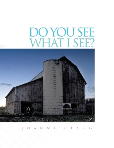 Do You See What I See?: (English)