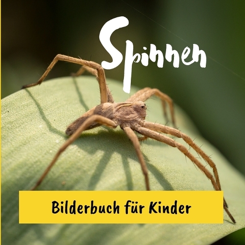 Spinnen: Bilderbuch für Kinder