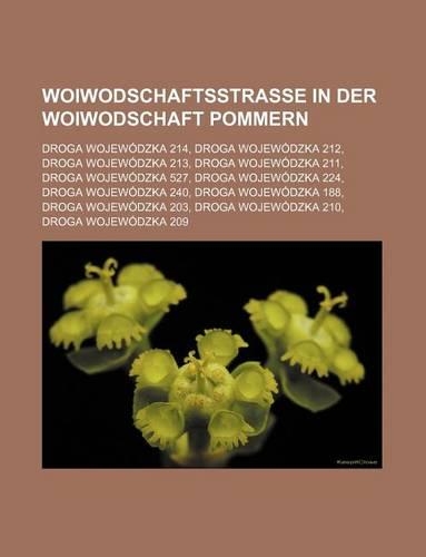 Woiwodschaftsstrasse in Der Woiwodschaft Pommern