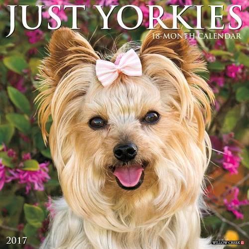 Just Yorkies 2017 Wall Calendar