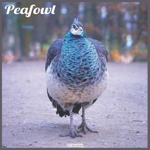 Peafowl 2021 Wall Calendar