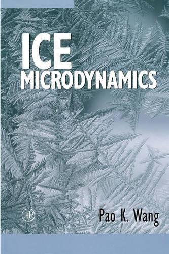 Ice Microdynamics