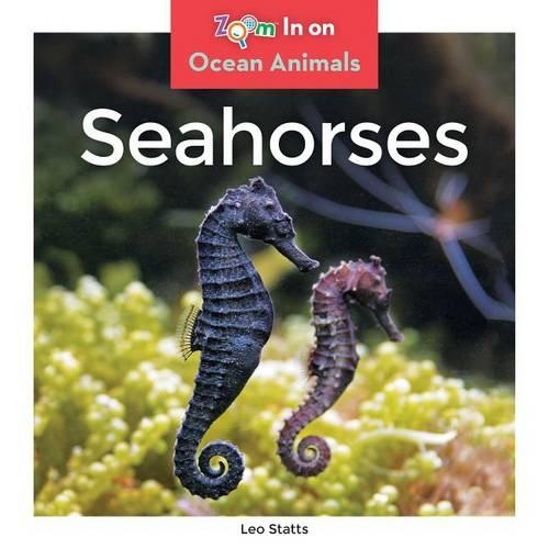Seahorses: (Ocean Animals)