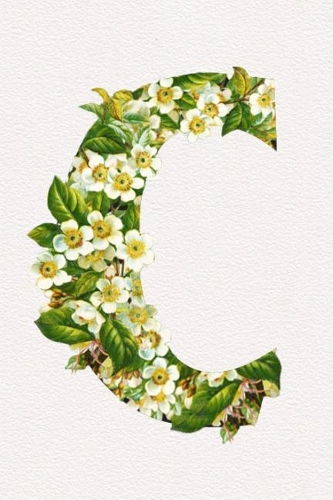 Floral Initials Dot Grid Journal - C
