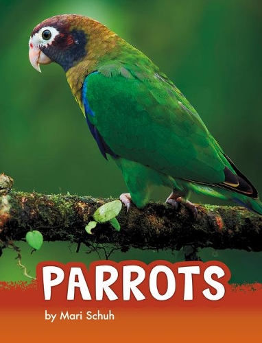 Parrots: (Animals)