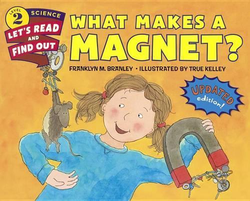 What Makes a Magnet?