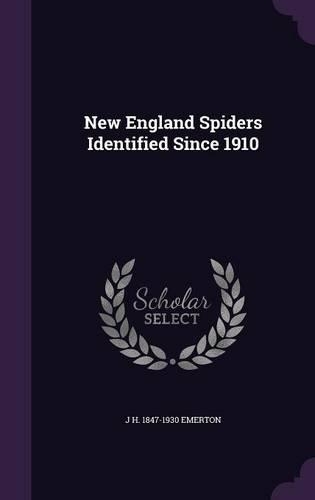 New England Spiders Identified Since 1910: (English)