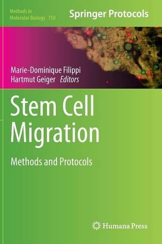 Stem Cell Migration