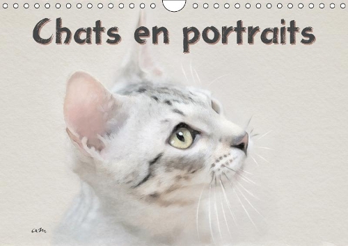 Chats en portraits 2019
