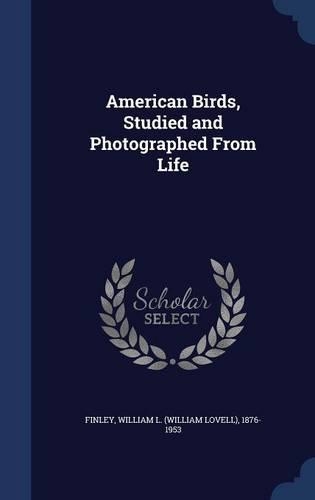 American Birds, Studied and Photographed From Life: (English)