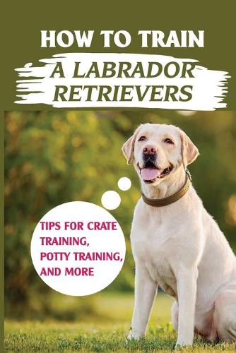 How To Train A Labrador Retrievers