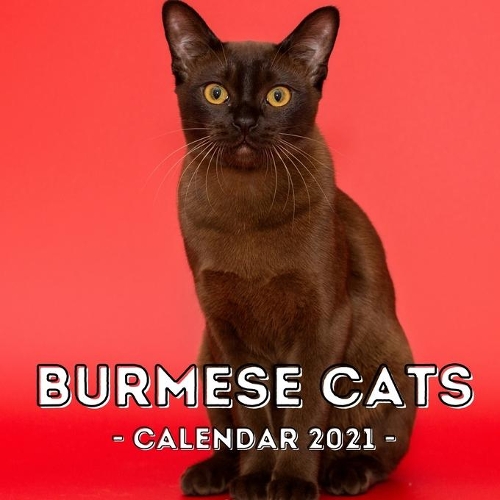 Burmese Cats