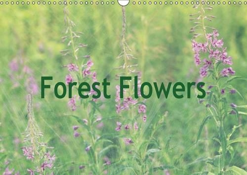 Forest Flowers 2017: Fascinating World of the Forest(Calvendo Nature)