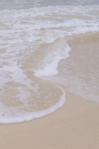 Journal - Grand Cayman