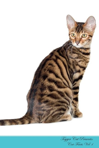 Toyger Cat Presents