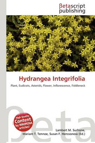 Hydrangea Integrifolia