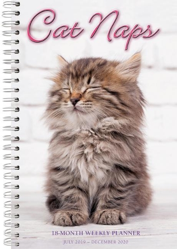 Cat Naps 18-Month Weekly Planner