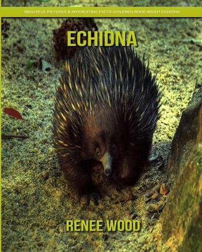 Echidna