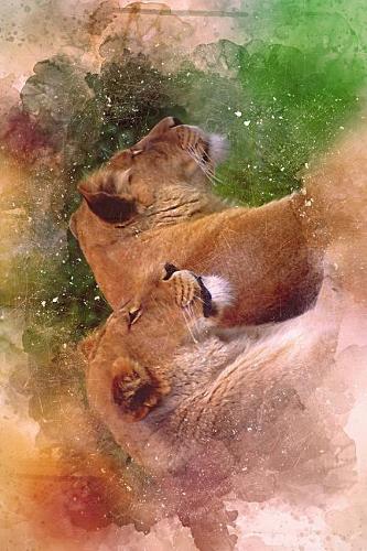 Painted Lioness Journal