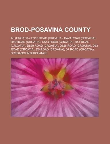 Brod-Posavina County