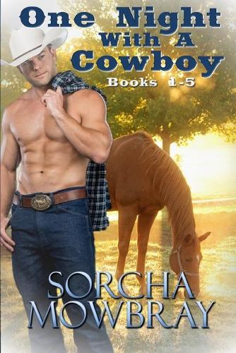 One Night With A Cowboy: (Books 1-5)(One Night with a Cowboy)