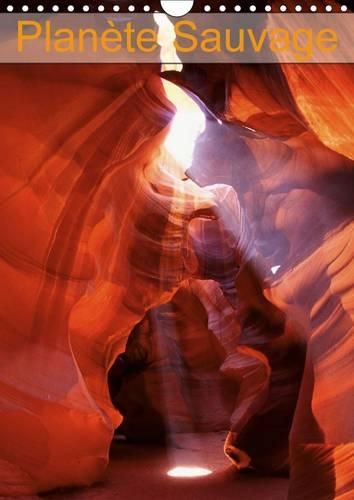 Planete Sauvage 2017: Cheminement En Images Vers Une Forme De Joie Et De Bonheur(Calvendo Nature)