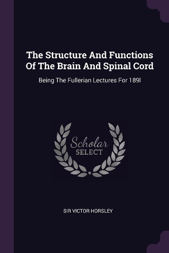 The Structure And Functions Of The Brain And Spinal Cord