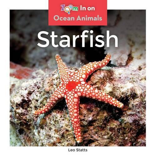 Starfish: (Ocean Animals)