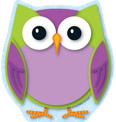 Colorful Owl Notepad