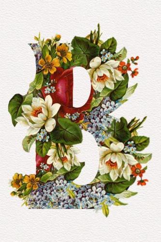 Floral Initials Dot Grid Journal - B: A Fun Notebook to Celebrate Your Favorite Alphabet Letter