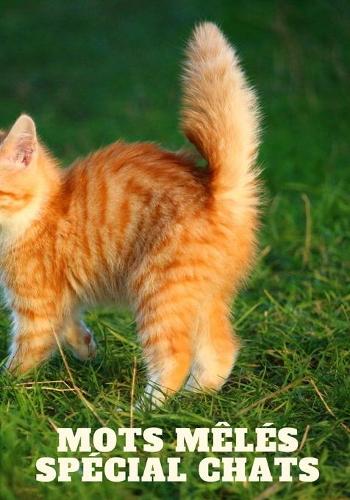 Mots Mêlés Spécial Chats