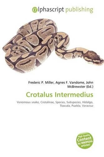 Crotalus Intermedius