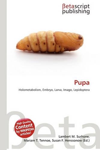 Pupa