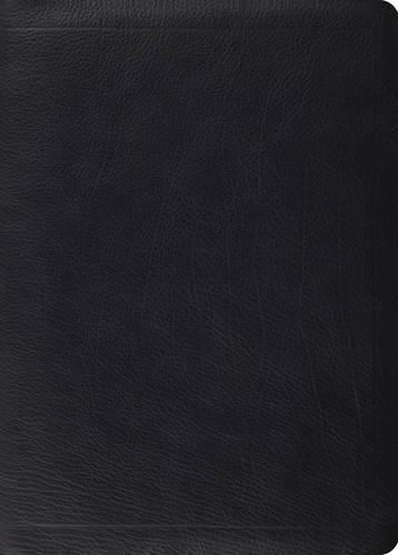 ESV MacArthur Study Bible