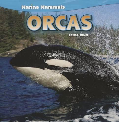 Orcas: (Marine Mammals)