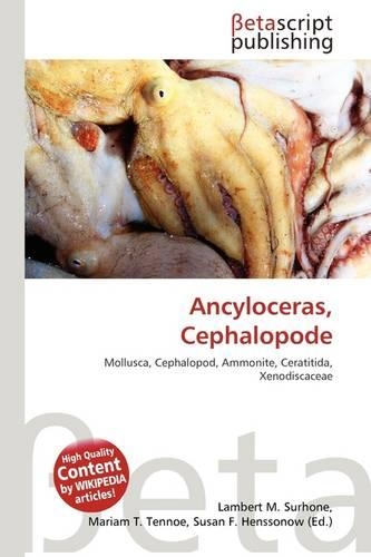 Ancyloceras, Cephalopode: (English)