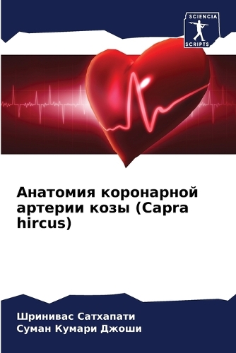 Анатомия коронарной артерии козы (Capra hircus)