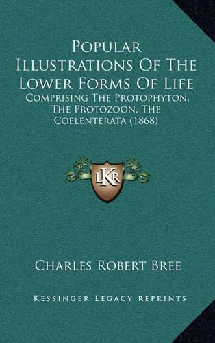 Popular Illustrations of the Lower Forms of Life