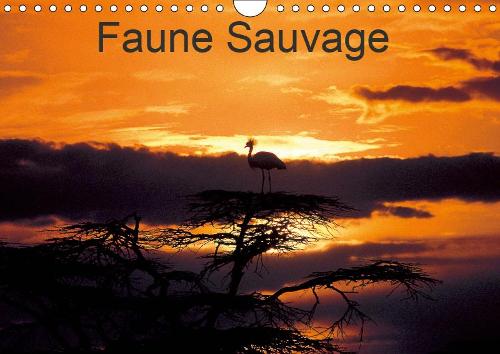 Faune Sauvage 2019: Voyage initiatique, dans les régions les plus sauvages au monde.(Calvendo Animaux)