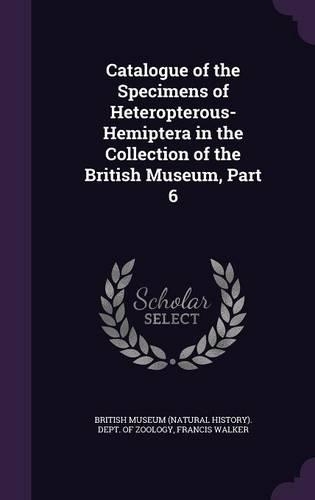 Catalogue of the Specimens of Heteropterous-Hemiptera in the Collection of the British Museum, Part 6
