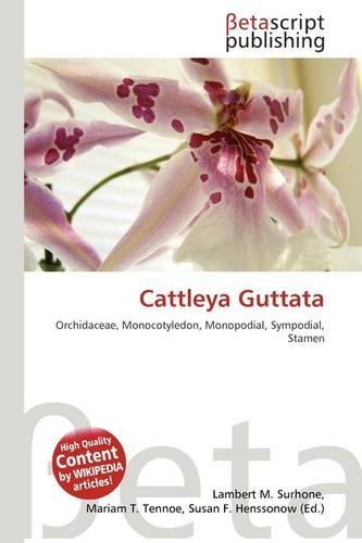 Cattleya Guttata: (English)