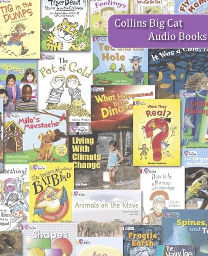 Tig in the Dumps: Lime/Band 11(Collins Big Cat Talking Books)