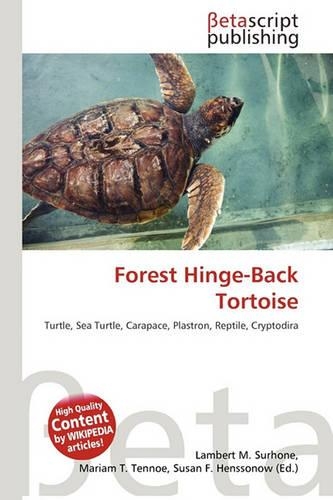 Forest Hinge-Back Tortoise
