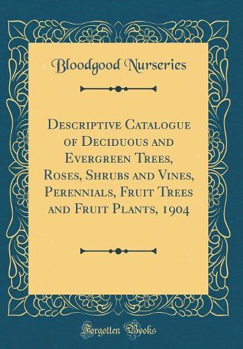 Descriptive Catalogue of Deciduous and Evergreen Trees, Roses, Shrubs and Vines, Perennials, Fruit Trees and Fruit Plants, 1904 (Classic Reprint)