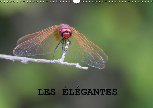 Les élégantes 2019