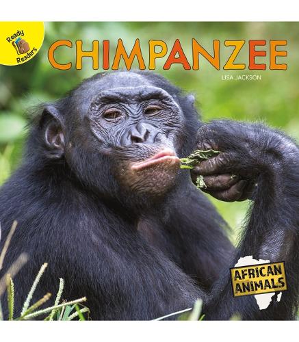 Chimpanzee: (African Animals)