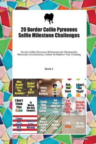 20 Border Collie Pyrenees Selfie Milestone Challenges: Border Collie Pyrenees Milestones for Memorable Moments, Socialization, Indoor & Outdoor Fun, Training Book 1