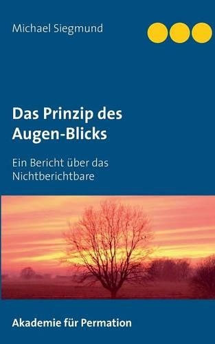 Das Prinzip Des Augen-Blicks: (German)