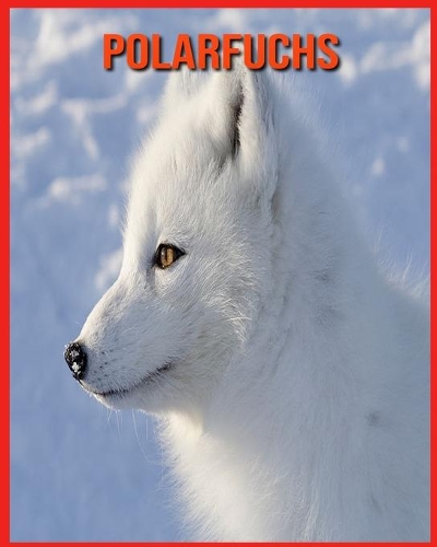 Polarfuchs