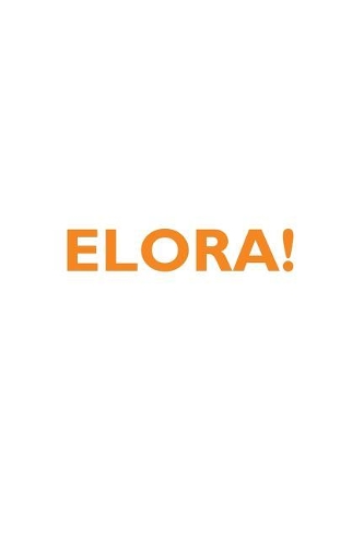 ELORA! Affirmations Notebook & Diary Positive Affirmations Workbook Includes